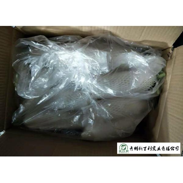 Natural Big White Radish Rich Nutrition Own Base For Human Health