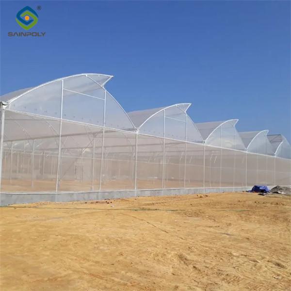 Practical Po Film Gothic Greenhouse Multispan Agriculture Greenhouse