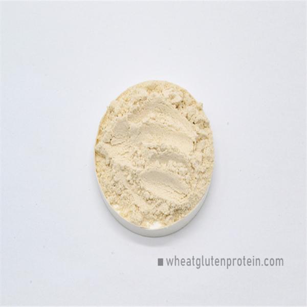 Prolong Bread Aging Time CAS 8002-80-0 Vital Wheat Gluten