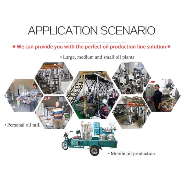 Cooking Oil Processing Equipment Hydraulic Screw Hot And Cold Press Machine