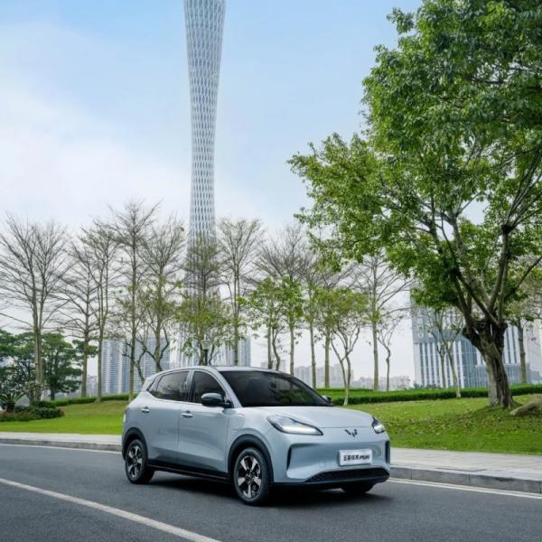 Véhicule électrique Wuling Binguo EV 5 portes 4 sièges 2024 Nouveau véhicule électrique à énergie explosive rentable