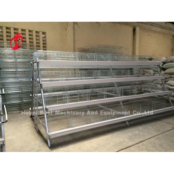 5 Tiers 450cm2 Galvanized Layer Battery Cage System Egg Laying Hens Emily