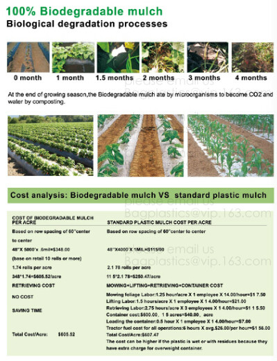 Weed Control Mulch Film, Agriculture Vegetable Black PE Films, 5 Holes Greenhouse Perforated Film