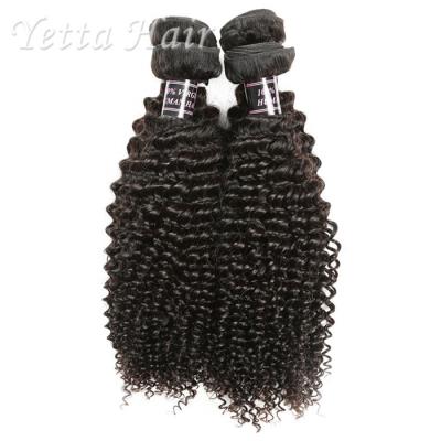 Cabelo humano de Remy do indiano do negro como o azeviche/cabelo encaracolado perverso do Virgin nenhuma fibra