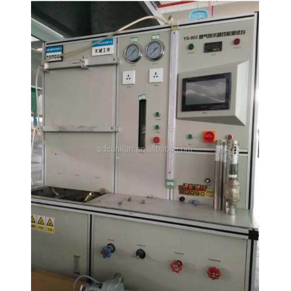 Stainless Steel Gas Water Heater NG LPG Gas Hot Water System 10L 12L Wall Mounted