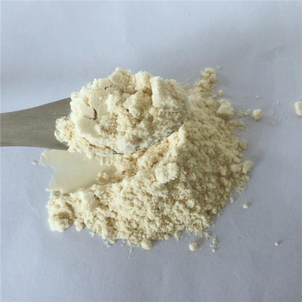 Migraine Relief Black Ginger Powder With Best Price