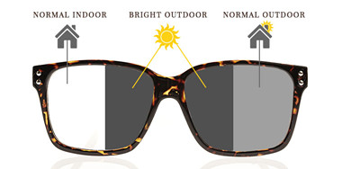 Grey / Brown Photochromic Progressive Lenses Blank 75mm Diameter 1.56 Index