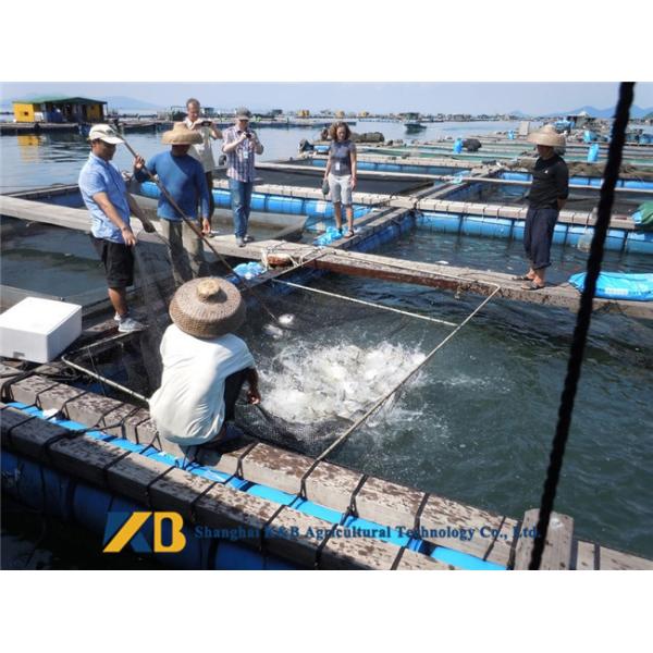 Small Trial Order High Protein Fish Meals Custom Bag For Aquaculture Farm