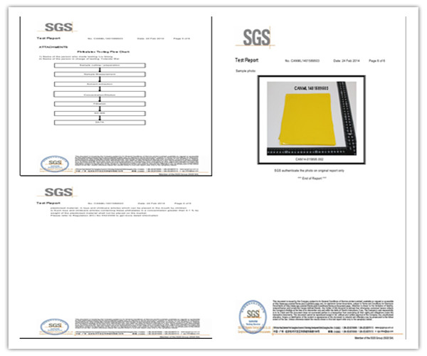 Exciting PVC Tarpaulin Double Lane Inflatable Banana Boat Raft With 10 Seats