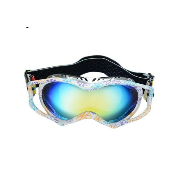 Óculos de proteção unisex profissionais de Off Road da motocicleta para a competência exterior