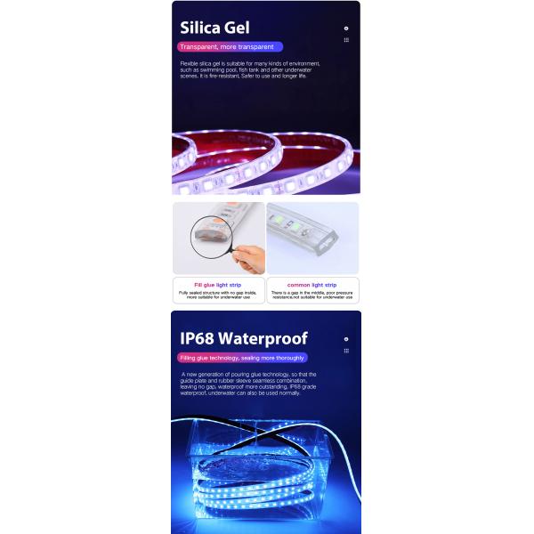 12V 24V IP68 водонепроницаемая наружная светодиодная лента 120leds / M светодиодные ночные световые ленты искренние твердые силиконовые затуманяемые полосы