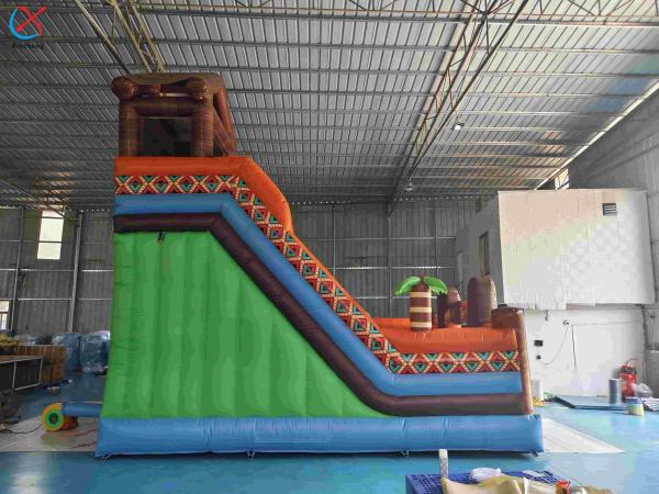 Inflatble Exotic Bouncy House With Internal Slide Combo Jumping Castle