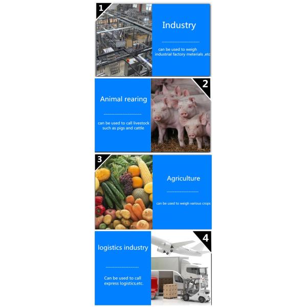 Weight Function Pig Cattle and Sheep Weighing Electronic Scale 1-3T Capacity for Accurate Farm Weighing