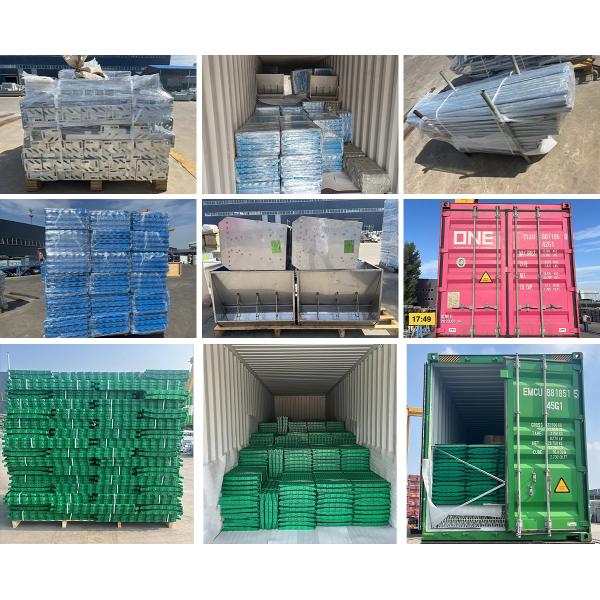 Система клеток для бройлеров птицеводческих хозяйств с чертежным дизайном MTS и стальным классом