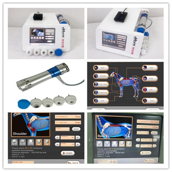 Радиальная внекорпусная Equine машина физиотерапии ударной волны