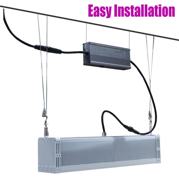 640W Greenhouse Supplemental Lighting 660nm IP65 Grow Lights For Vegetables Indoors