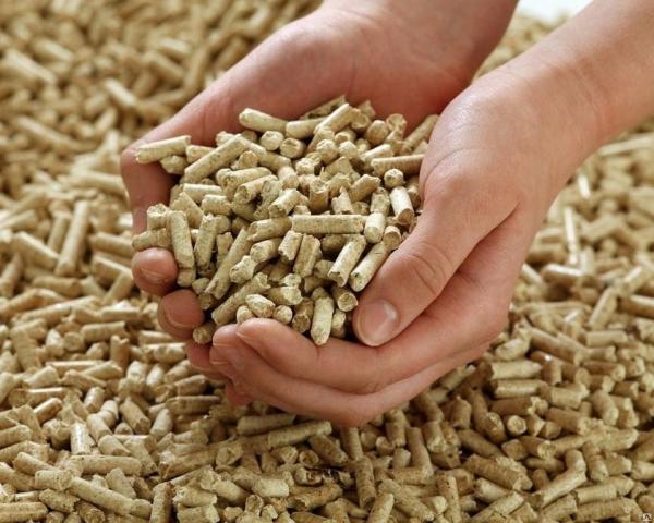 Flat Die Wood Pellets Machine 1100kg/ H 800kg/ H Energy Saving Rustproof