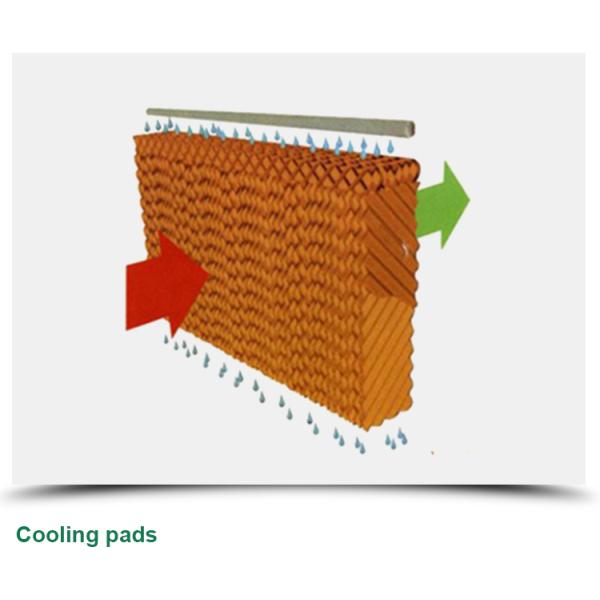 Сельскохозяйственная теплица для выращивания овощей, фруктов и цветов в любое время года