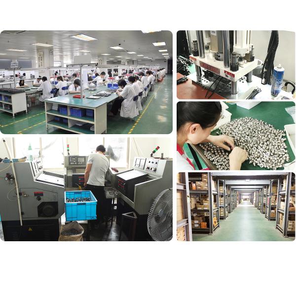 Shenzhen Rigoal Connector Co.,Ltd.