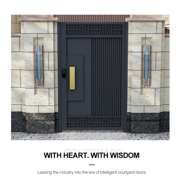 Внешнее оформление черный вход двойная дверь из нержавеющей стали кованое железо дизайн главные ворота