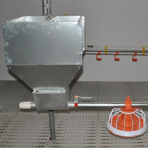 Sistema de alimentação da grelha totalmente automático da exploração avícola