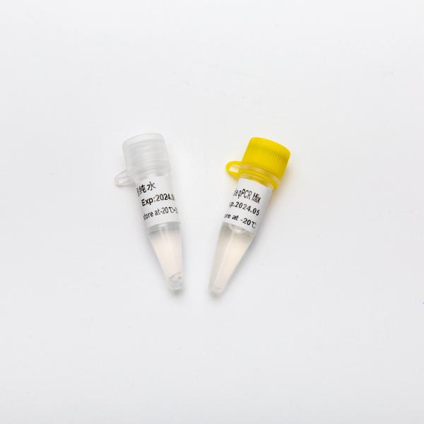 Multiplex Probe qPCR Mix for DNA real time PCR 100ml