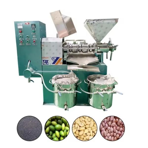 Semi-Automatic Oil Filled Rotary Heat Press Machine for Pumpkin Seed Oil Extraction