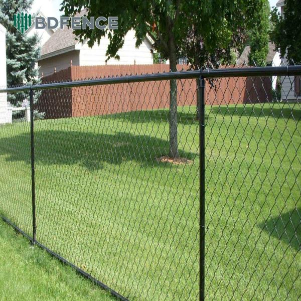 1 Inch Galvanize Hook Mesh Cheap Chain Link Fencing Farm Fence