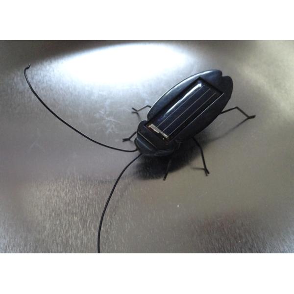 Solar roach toys, Solar Cockroach toys, Solar Toys, Minimum Quantity More than 10 pcs