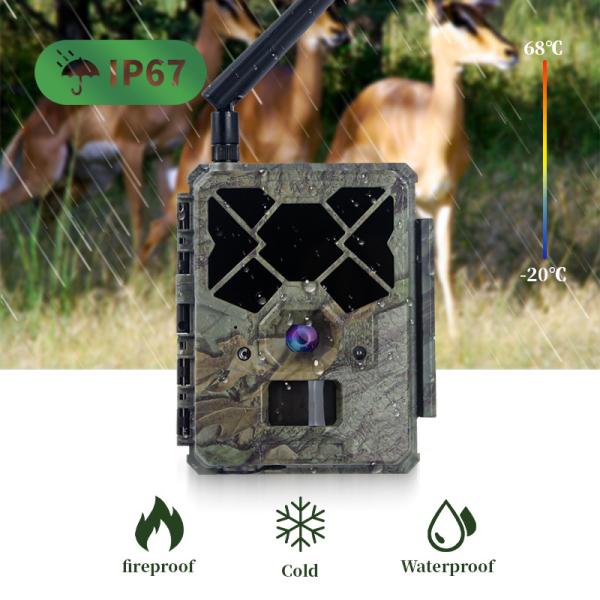 Caméra de chasse 4G télécommandée KW886 avec capacité vidéo 1080p et portée nocturne de 120 pieds