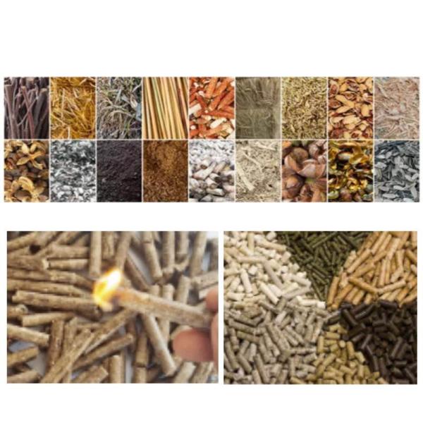 Коммерчески лепешка соломы риса машины 160kw таблетки из горючег биомассы делая машину