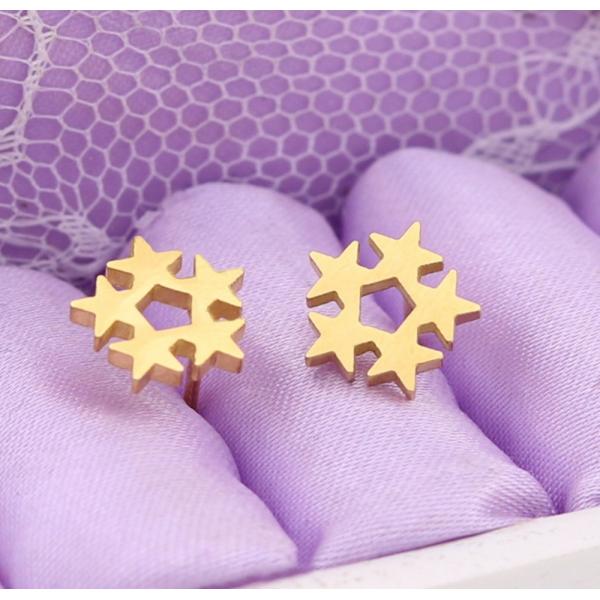 Customized Earring Surgical Stainless Steel Titanium Silver Gold Black Plated Star Stud Earrings