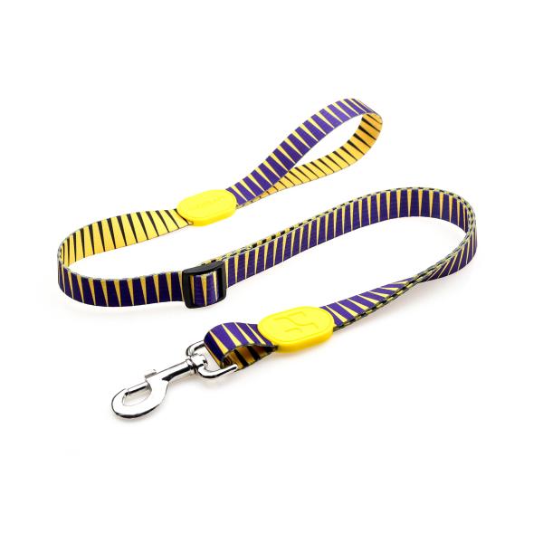 12 Inch Lanyard Breakaway Dog Leash For 1 2 3 Multiple Dogs