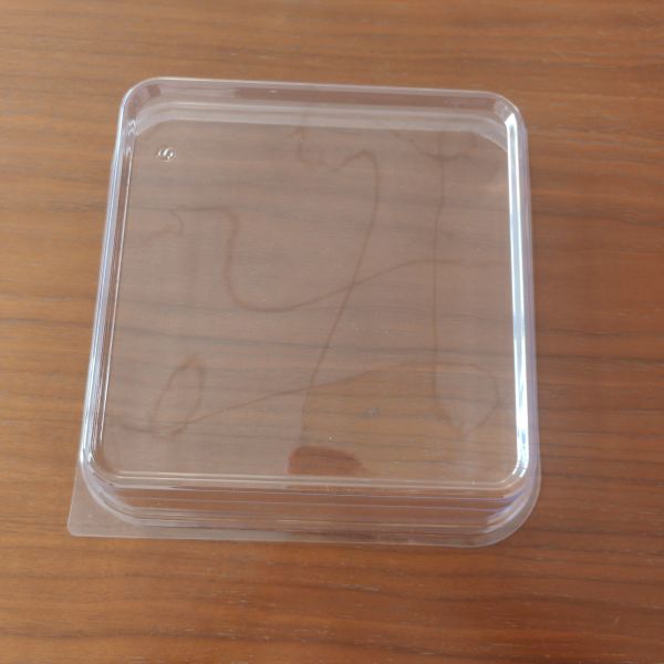 Customized disposable plastic pp golden cake container blister Dim sum cake package with transparent lid