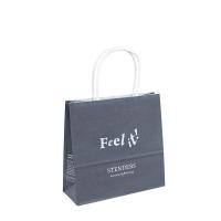 Sac dur adapté aux besoins du client de papier d'emballage de vente au détail de Logo Gift Luxury Shopping Bag