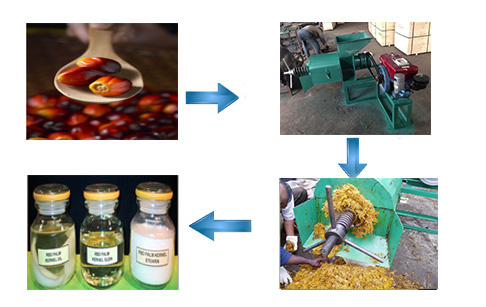 Small Palm Fruit Oil Expeller 300-500kg/hour Palm Oil Press for Oil Extraction