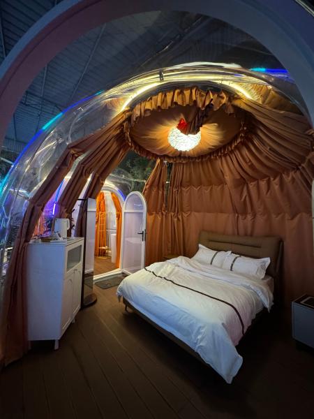 High-Quality Transparent Bubble Room Hotel Luxury Dome Polycarbonate Dome House For Homestay Camping