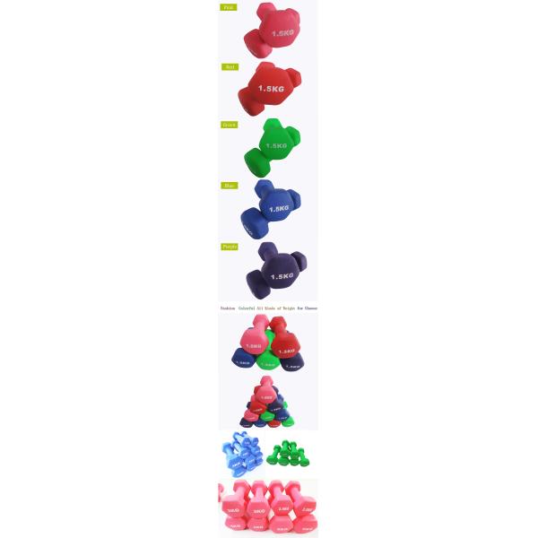 red green ,pink ,purple .,black ,blue vinyl dipping dumbbell for children ,women excerices