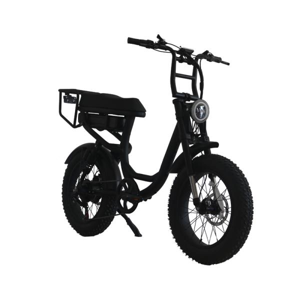 Electric Bicycle 48v 20 Inch Adult E Bike Customized Aluminum Alloy Frame 2022 Mountain