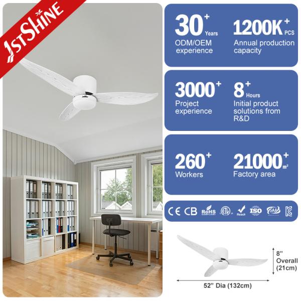Remote Control ABS Blades LED Ceiling Fan With Noiseless DC Motor