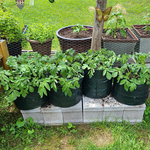 Potato Grow Bags, 4 Pack 10 Gallon With Flap And Handles Planter Pots For Onion, Fruits, Tomato, Carrot - Green