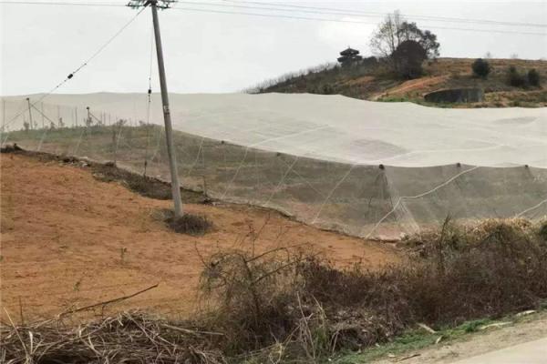 Customized Insect Mesh Netting Hail Damage Protection 30 To 125 G/M2 Weight