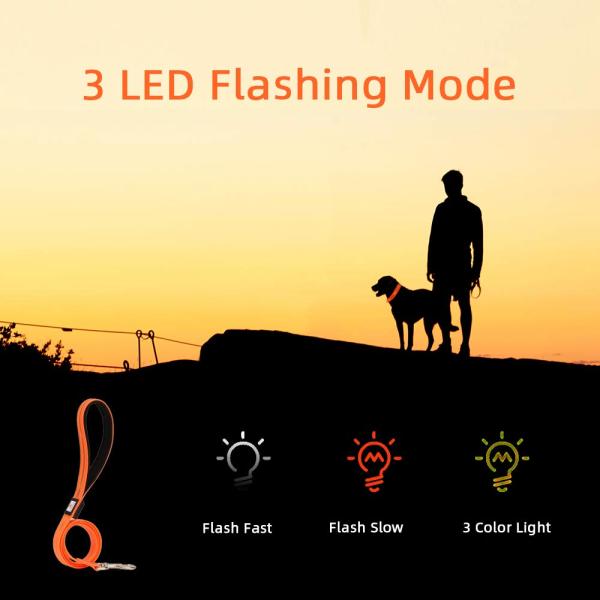 47.2 Inch / 120cm Waterproof LED Dog Leash