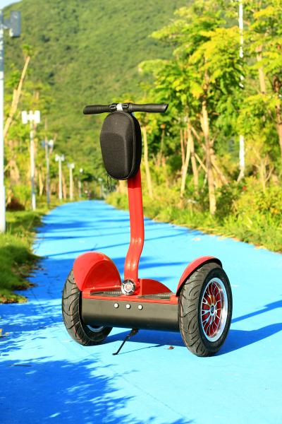 Segway Balance Electric Scooter Two Wheel Smart CE FCC ROHS Approval