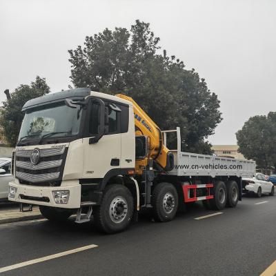 Foton Telescopic Boom Truck Mounted Crane 28ton SQZ560 Folding Hydraulic Mobile Crane