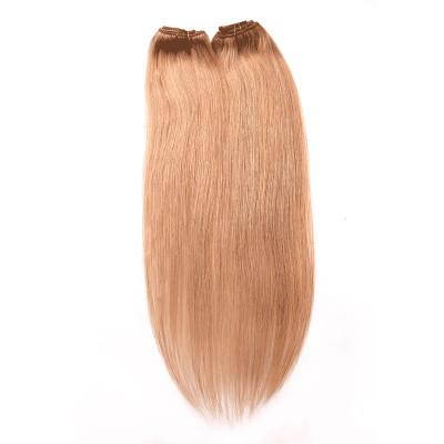 Grampo de cabelo humano de Remy do indiano do 1B da cor de Brown nas extensões nenhum cabelo sintético