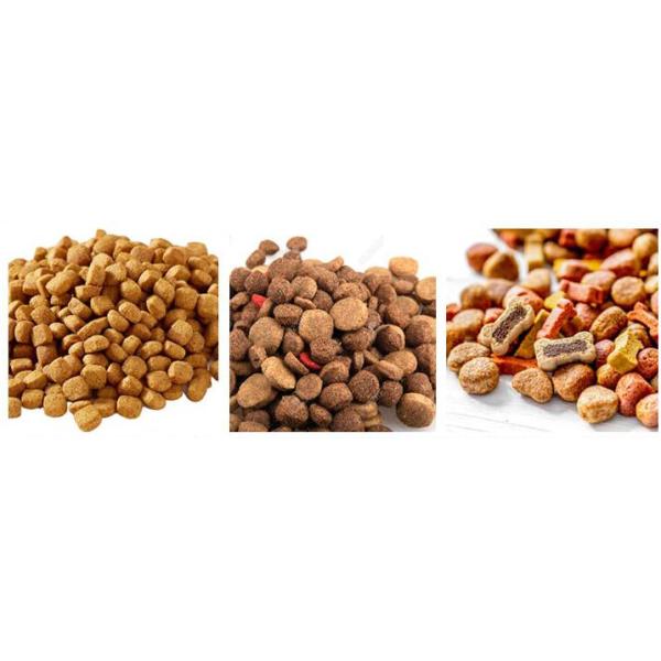 собака 1000kg/hr 70kw жует прессуя машину для делать Kibbles