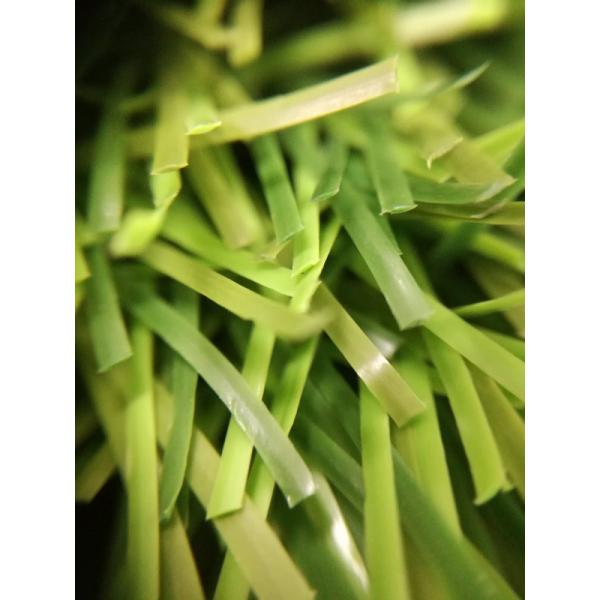 Light Green 18000/9F 50mm Artificial Diamond Football Grass