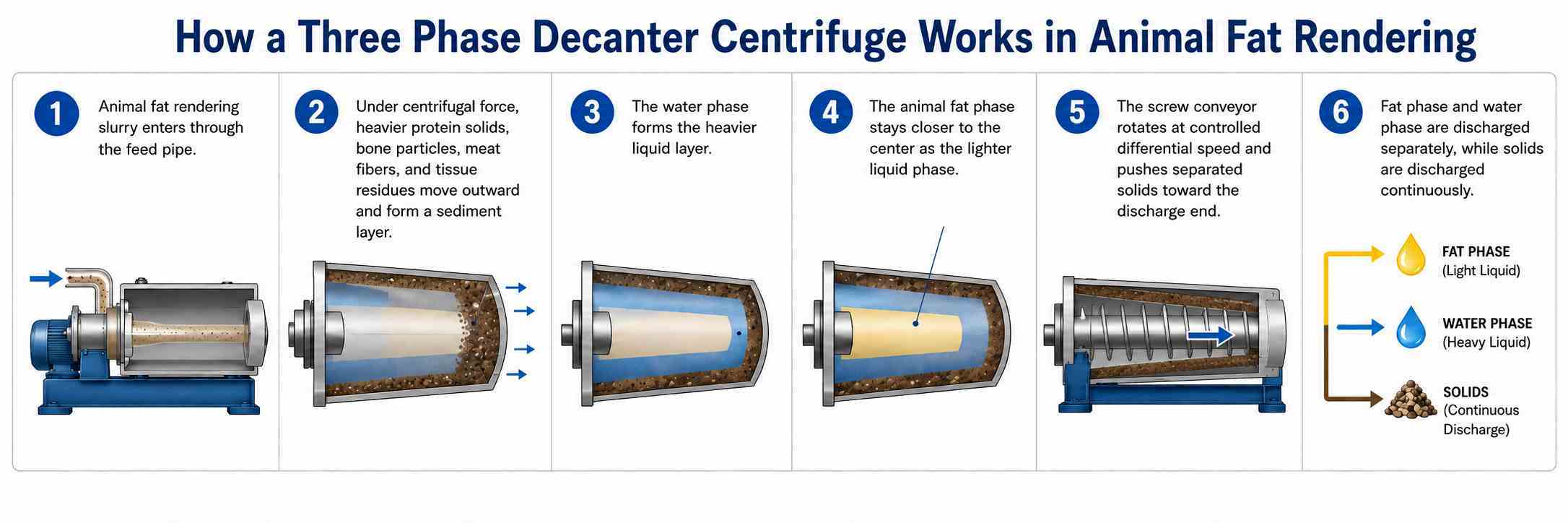 Three Phase Decanter Centrifuge for Animal Fat Rendering