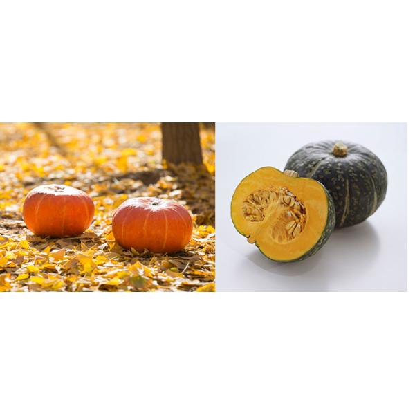 Compact Design Pumpkin Frying Machine , Continuous Vacuum Fryer Energy Saving